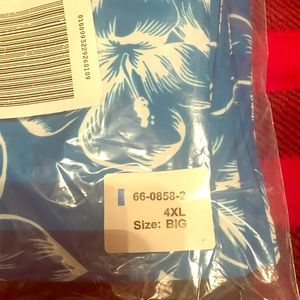 Men’s big and tall swim shorts